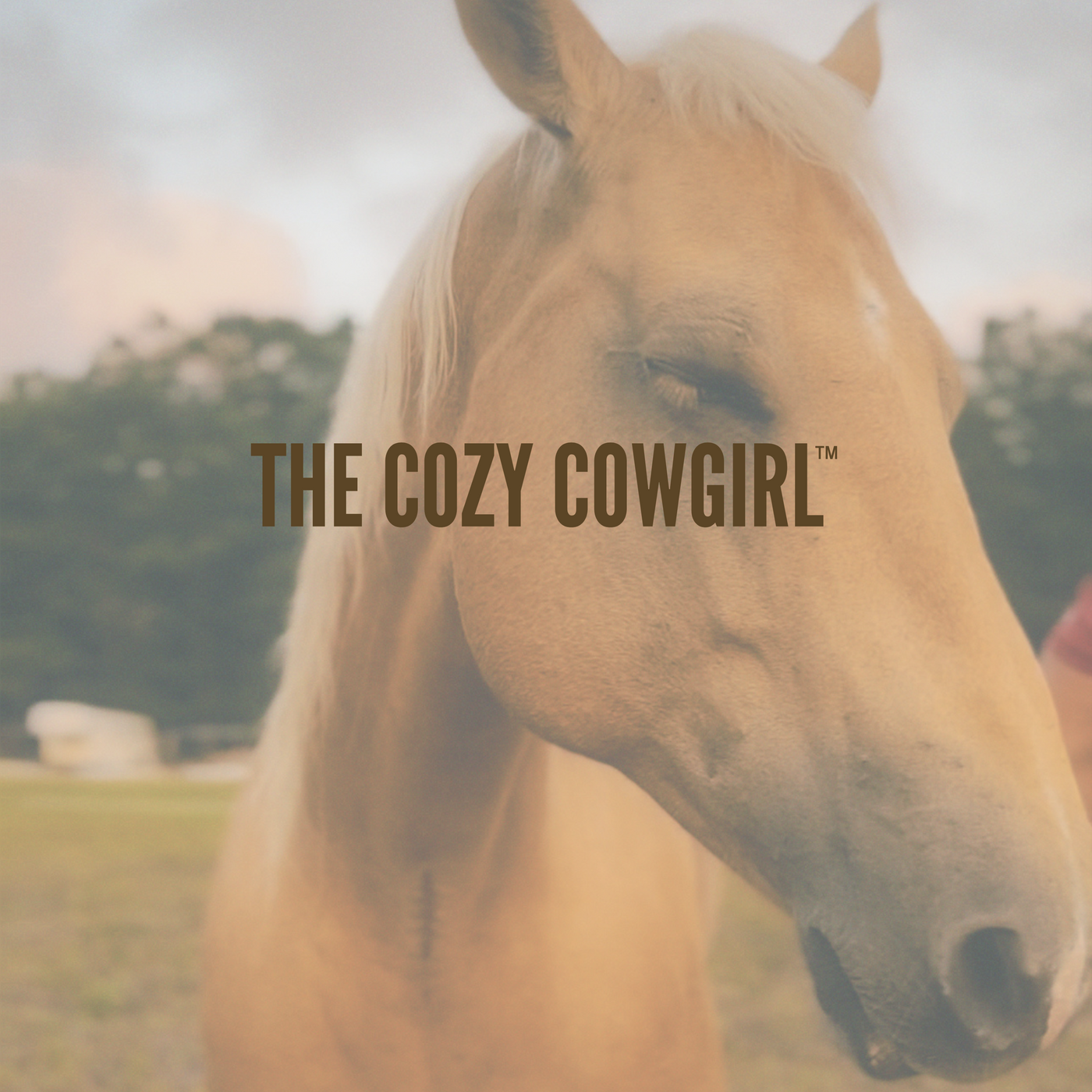 The Cozy Cowgirl